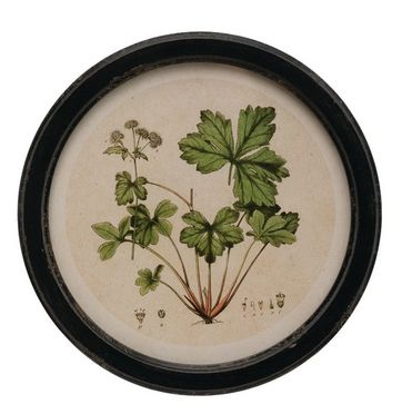 Framed Wall Decor with Botanical Prin - Design A