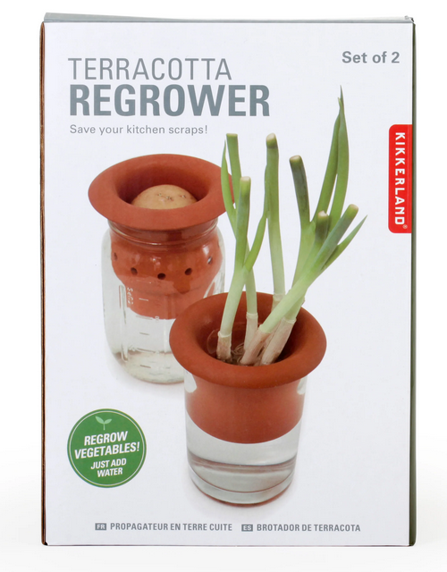 Terracotta Regrower
