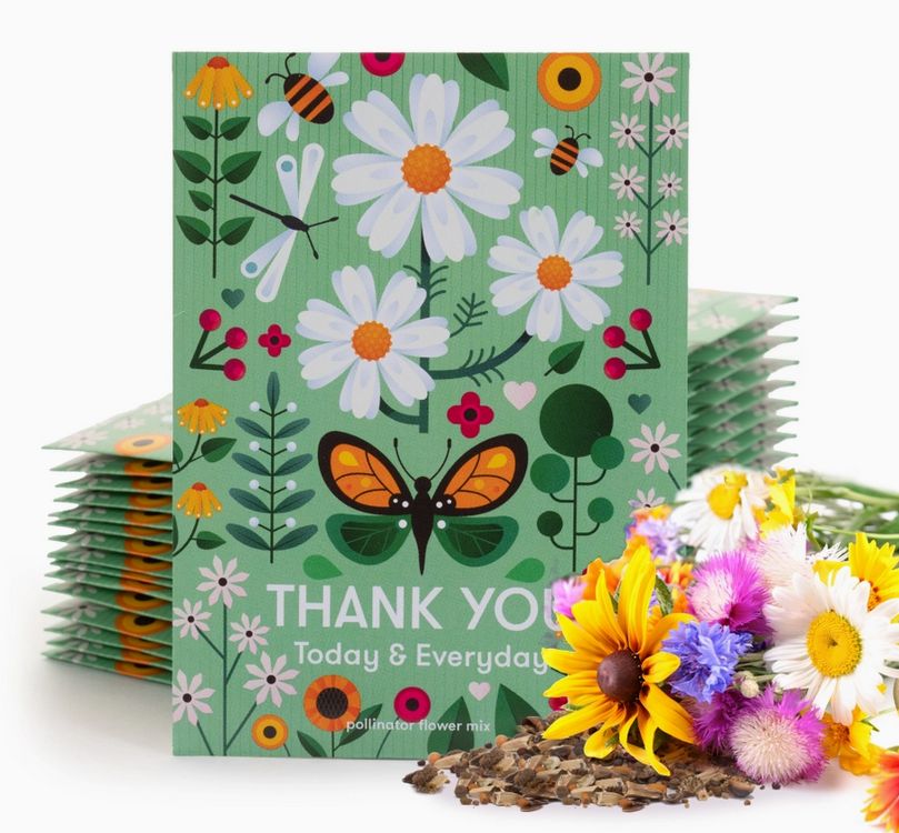 Thank You Today Everyday - Pollinator Flower Mix Seed Packet