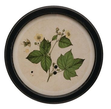 Framed Wall Decor with Botanical Prin - Design B