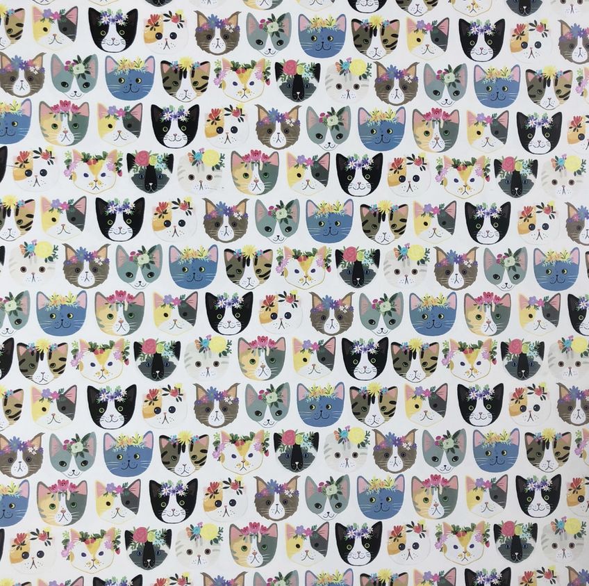 Kitty Cats Gift Wrap - Roll