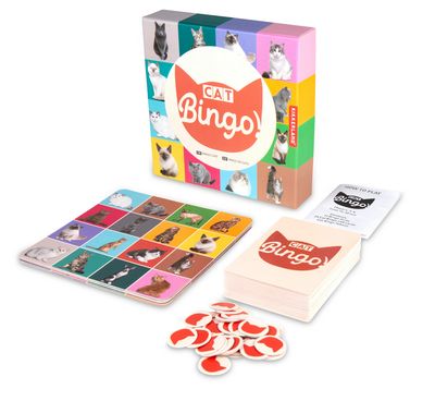 Cat Bingo