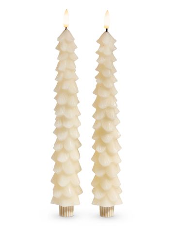 Ivory Tree Taper Candles