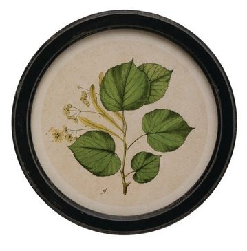 Framed Wall Decor with Botanical Prin - Design C