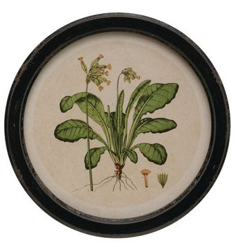 Framed Wall Decor with Botanical Prin - Design D