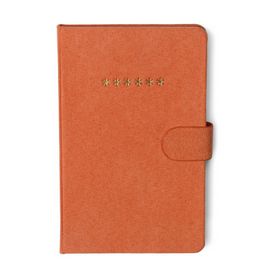 MINI PASSWORD JOURNAL - ASTERISKS