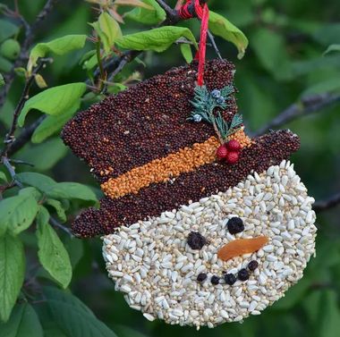 Frosty Christmas Cookie