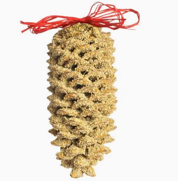 Giant Pine Cone