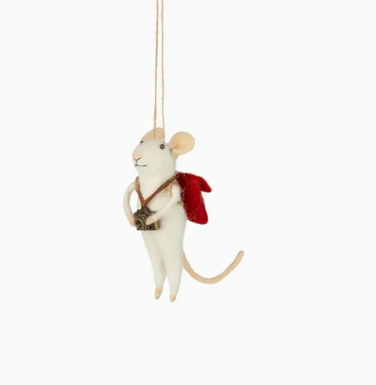 Felt Photographer Mouse, Camera/Red Bpack