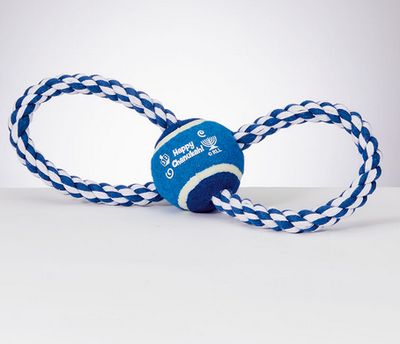 &quot;Chewdaica&quot;™ Chanukah Rope Dog Toy