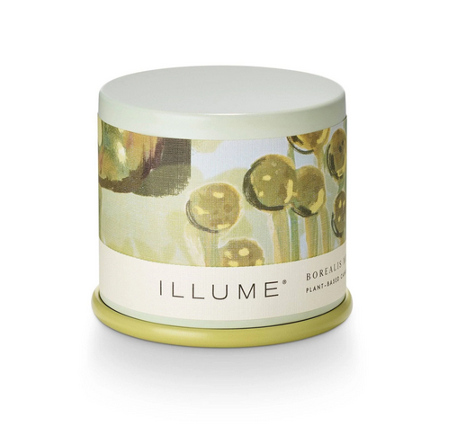 Borealis Moss Demi Vanity Tin