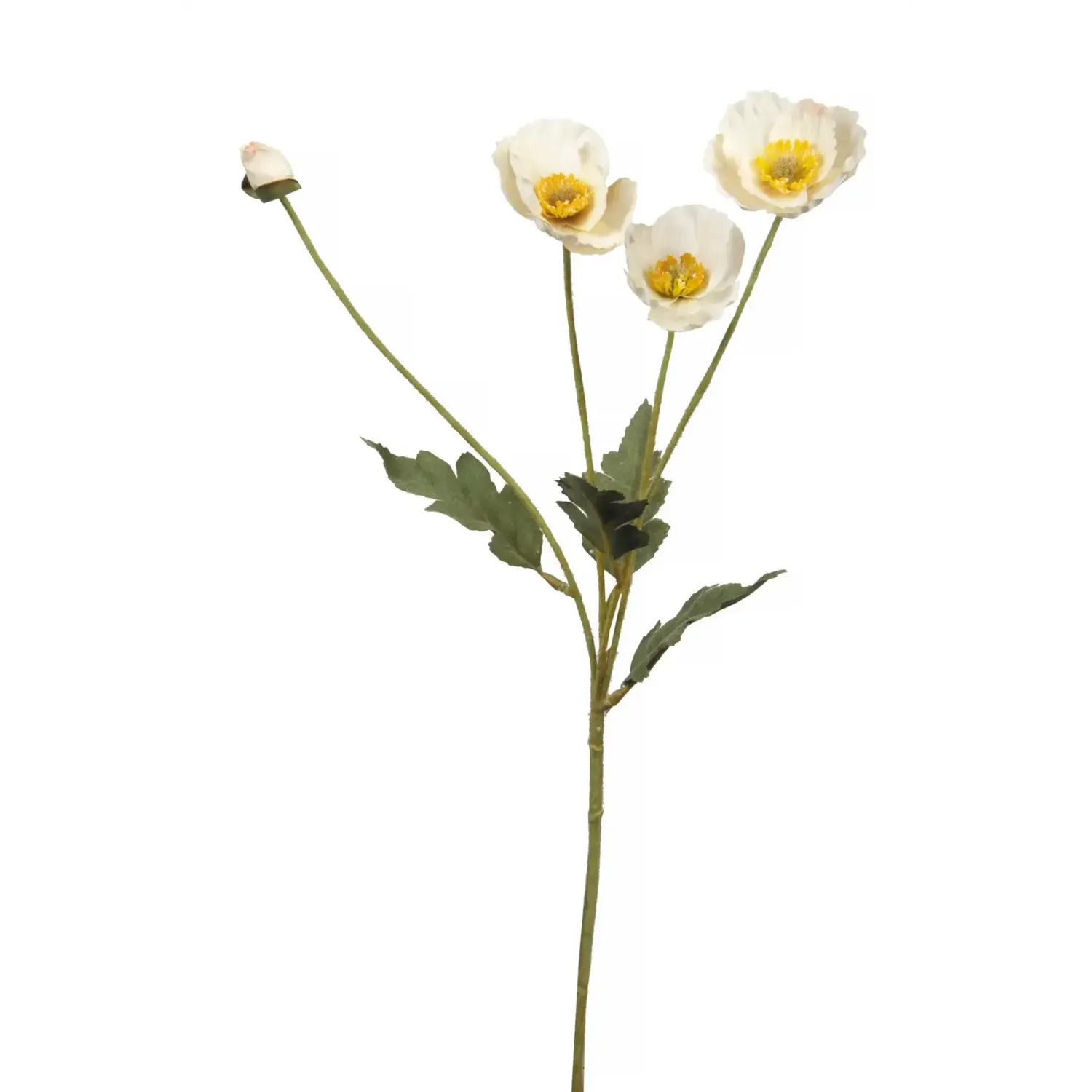 White Poppy Spray