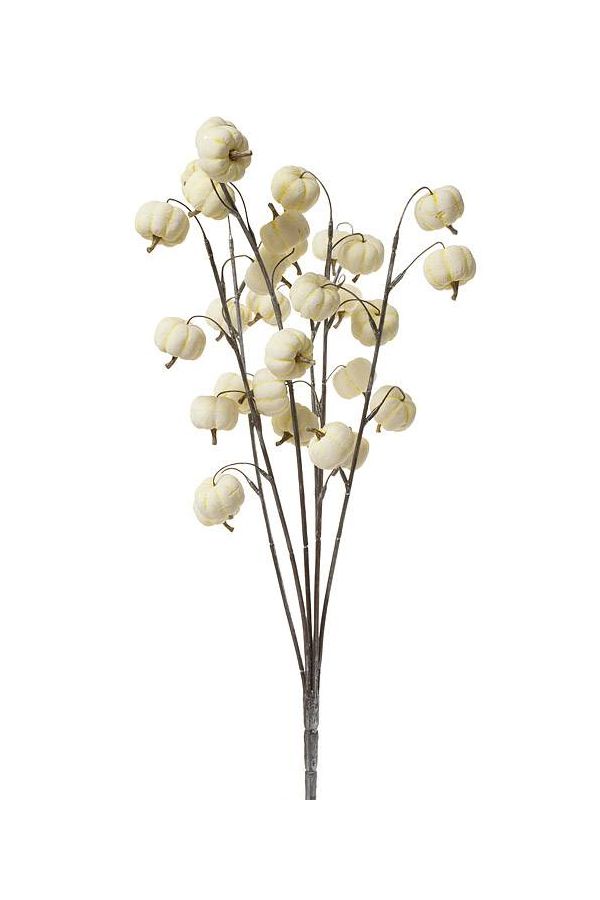 22&quot; Pumpkin Bundle - Cream