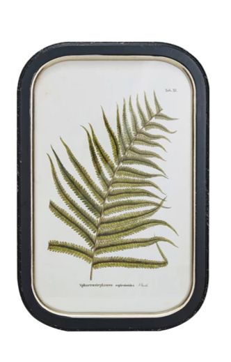 Frame Wall Decor w/ Fern Fronds -Single Leaf