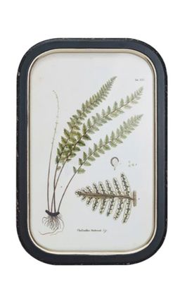 Frame Wall Decor w/ Fern Fronds -Triple Leaf