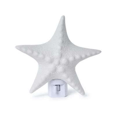 Seashell Nightlight in Gift Box
