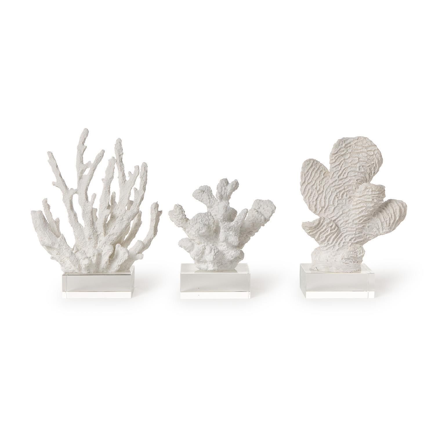 White Coral Sculpture -