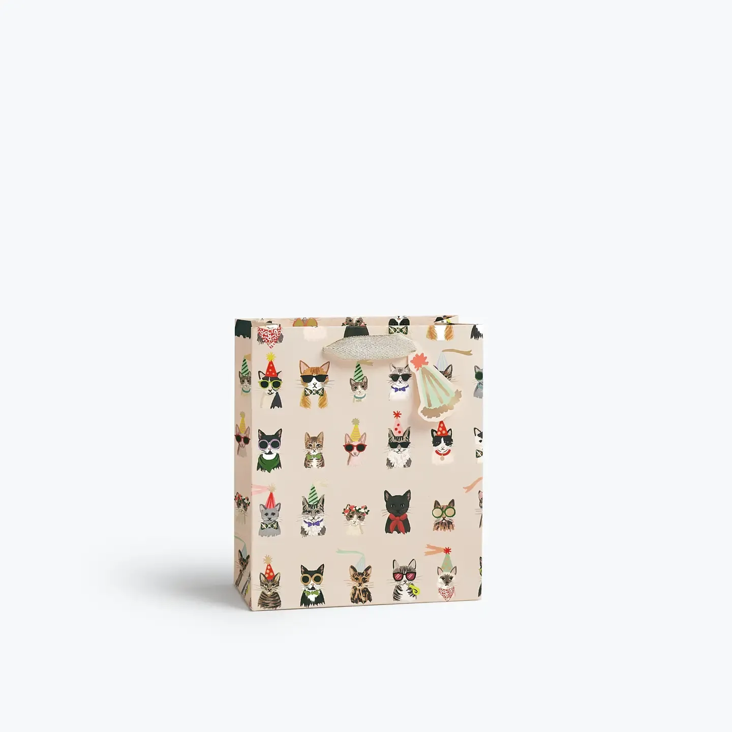 Party Cats Gift Bag (M)