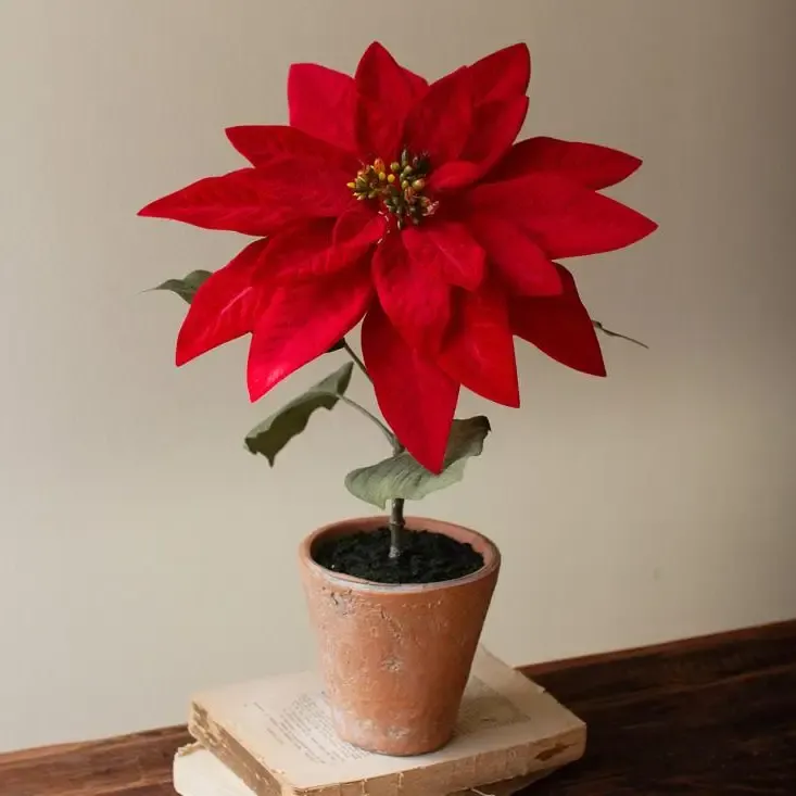 Red Artificial Poinsettia in Cement Pot