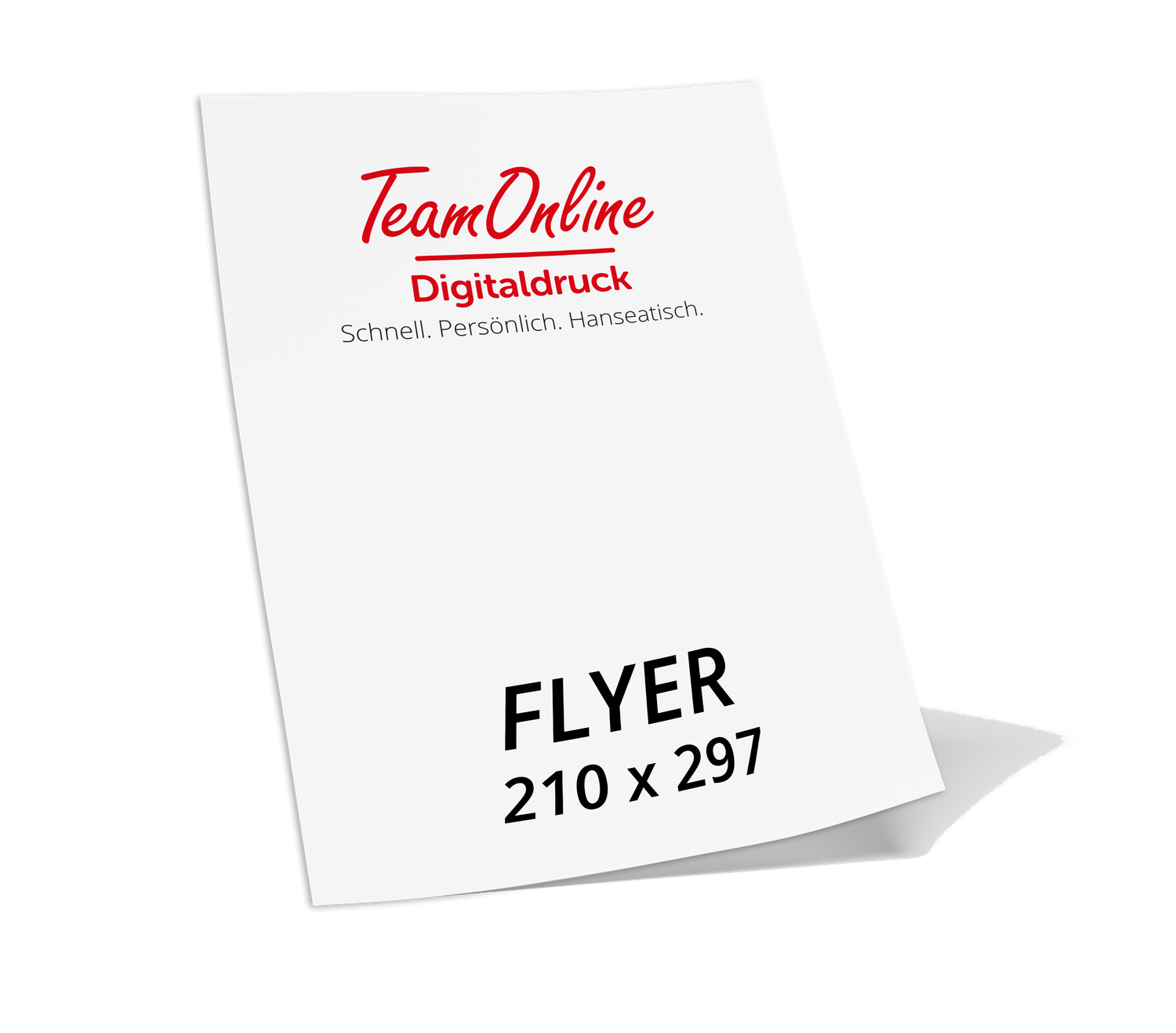 Flyer Basic | DIN A4