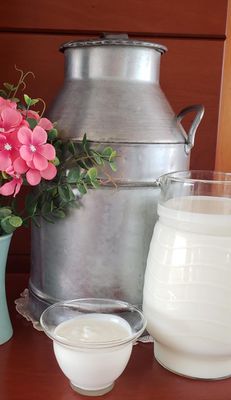Yoghurt griego sin azúcar