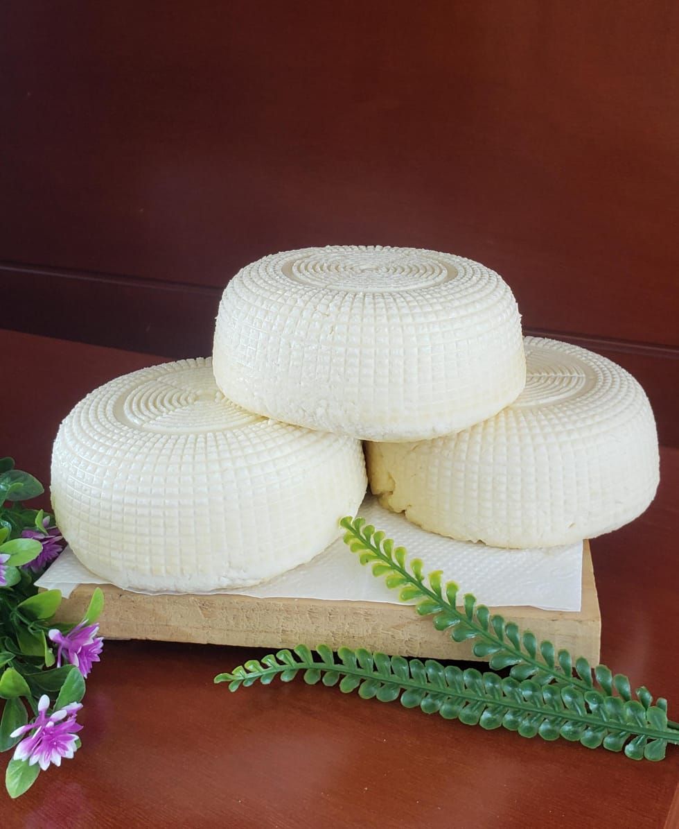 Queso panela