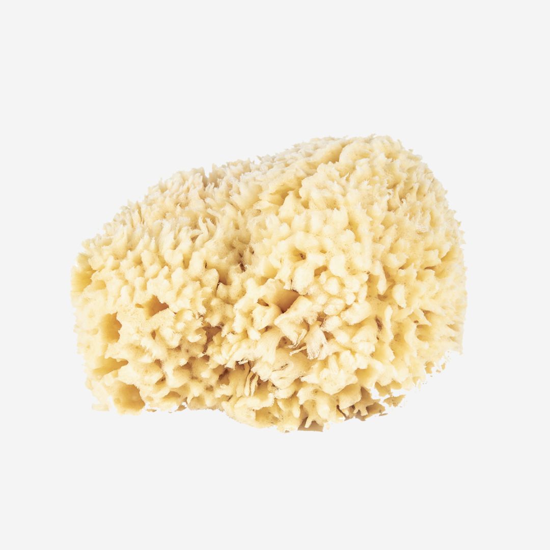 Baudelaire Large Wool Bath Sponge