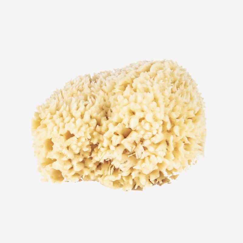 Baudelaire Large Wool Bath Sponge
