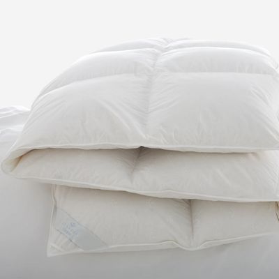 Scandia Down Vienna Comforter