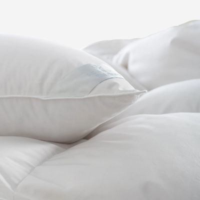 Scandia Down Salzburg Pillow