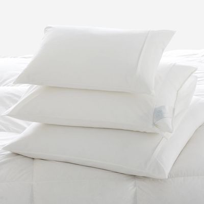 Scandia Down Percale Pillow Protector