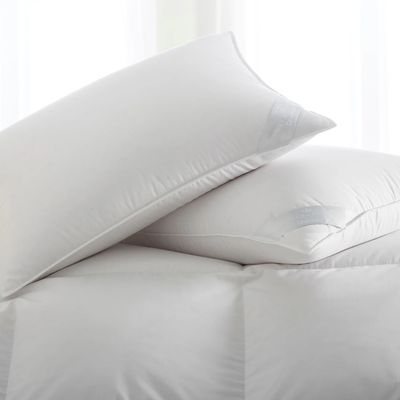 Scandia Down Chamonix Pillow