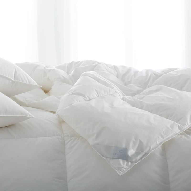 Scandia Down-Free Bergen Comforter