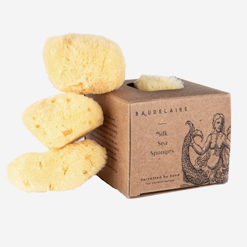 Baudelaire Sea Silk Sponge
