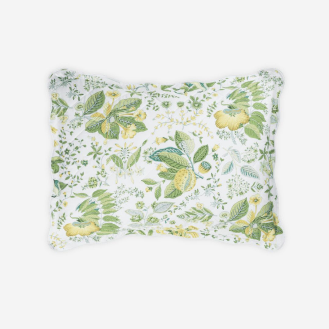 Matouk Pomegranate Bed Style, COLOR: Citrus, PRODUCT: Sham—Standard