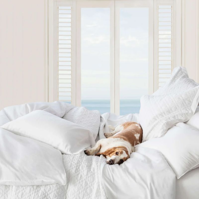 Pine Cone Hill Essential Sateen Sham