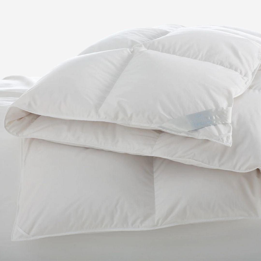 Scandia Down Salzburg Comforter, SIZE: Lux King, WEIGHT: Ultra—Winter