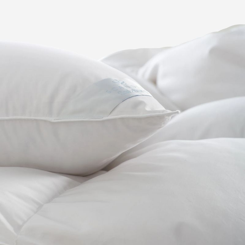 Scandia Down Salzburg Pillow