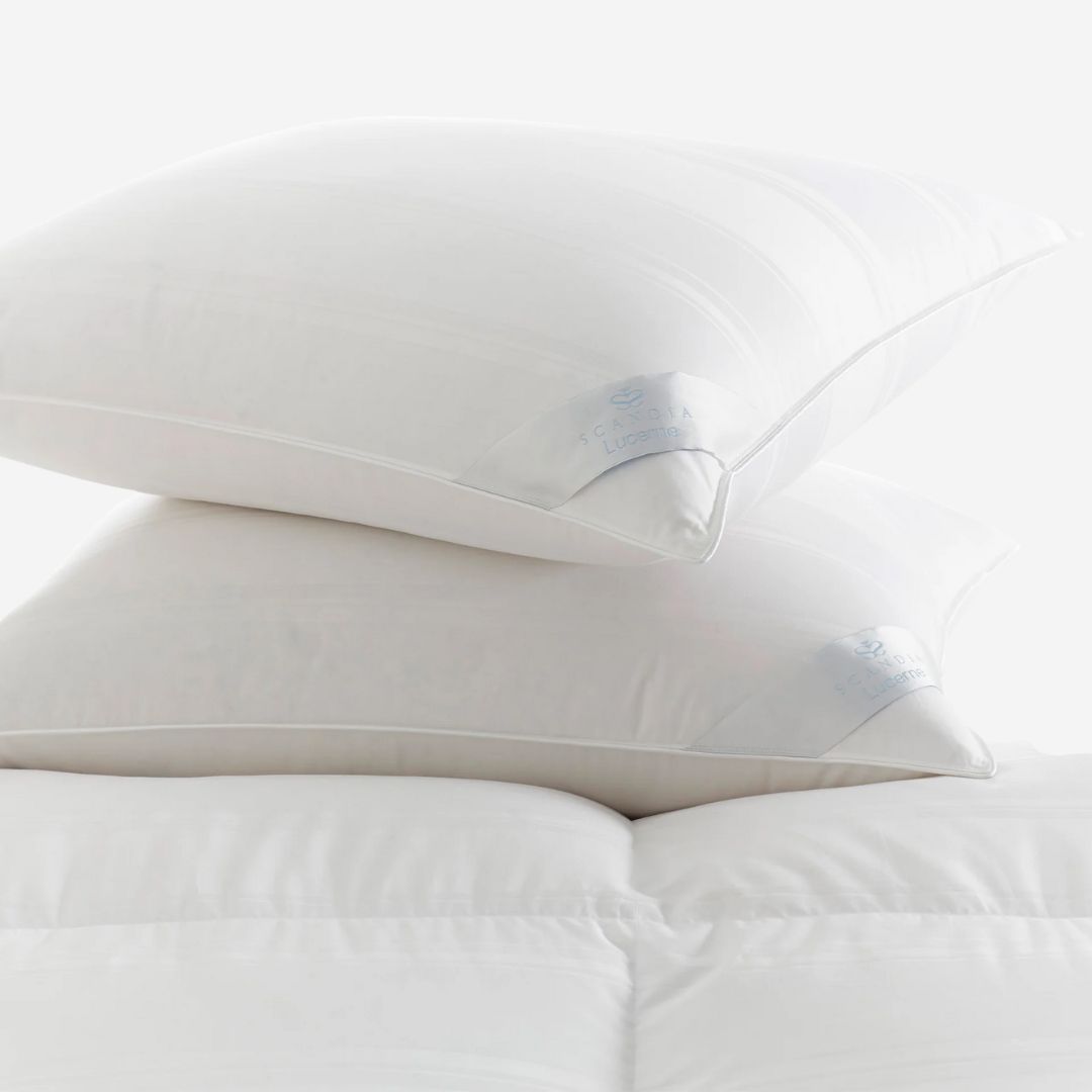 Scandia Down Lucerne Pillow, SIZE: Standard, WEIGHT: Ultra Soft