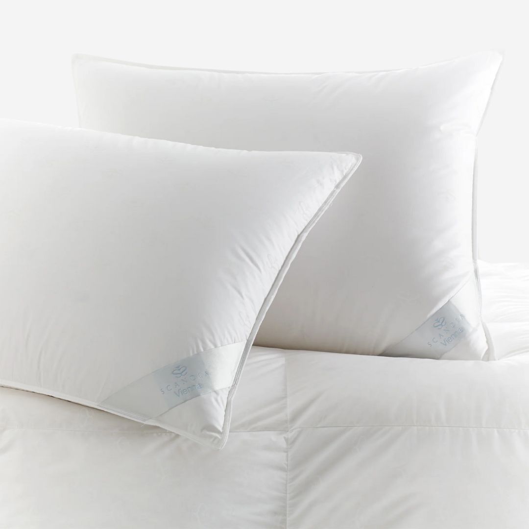 Scandia Down Vienna Pillow, SIZE: Standard, WEIGHT: Soft—Stomach Sleepers