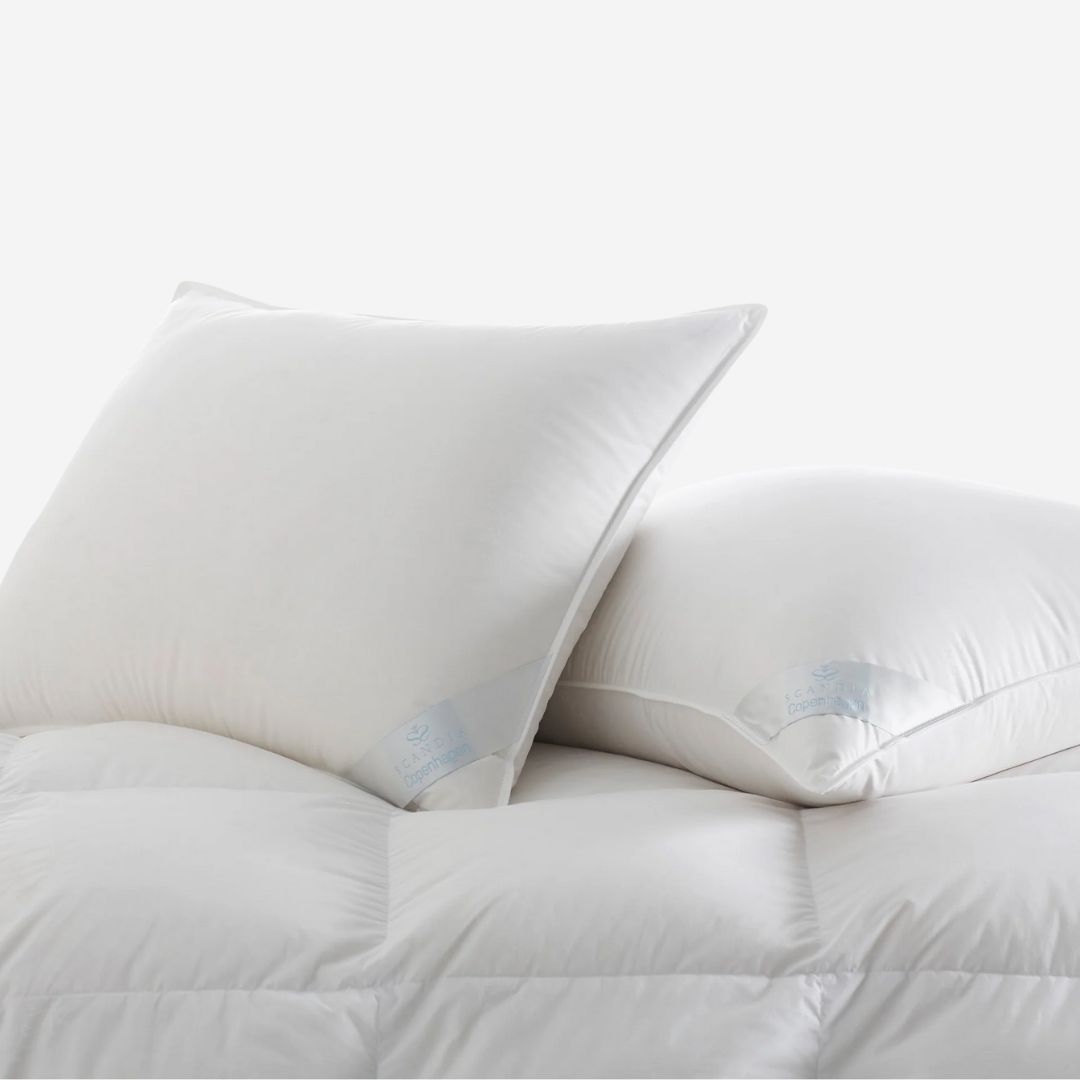 Scandia Down Copenhagen Pillow, SIZE: Standard, WEIGHT: Ultra Soft