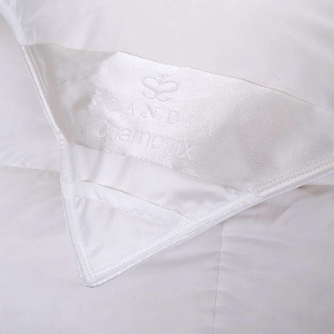 Scandia Down Chamonix Pillow, SIZE: Standard, WEIGHT: Soft—Stomach Sleepers