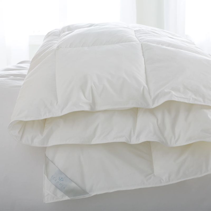Scandia Down-Free Bergen Comforter