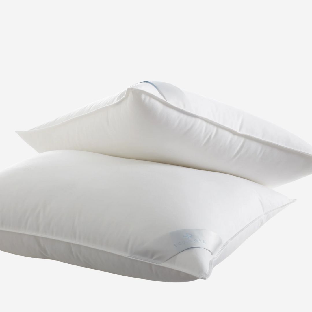 Scandia Down-Free Bergen Pillow, SIZE: Standard, WEIGHT: Soft—Stomach Sleepers