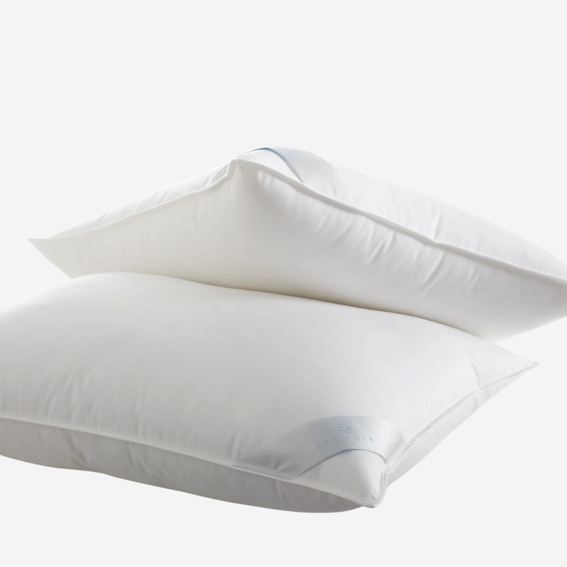 Scandia Down-Free Bergen Pillow