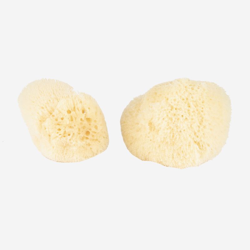 Baudelaire Sea Silk Sponge