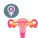 Perimenopause, Menopause &amp; You