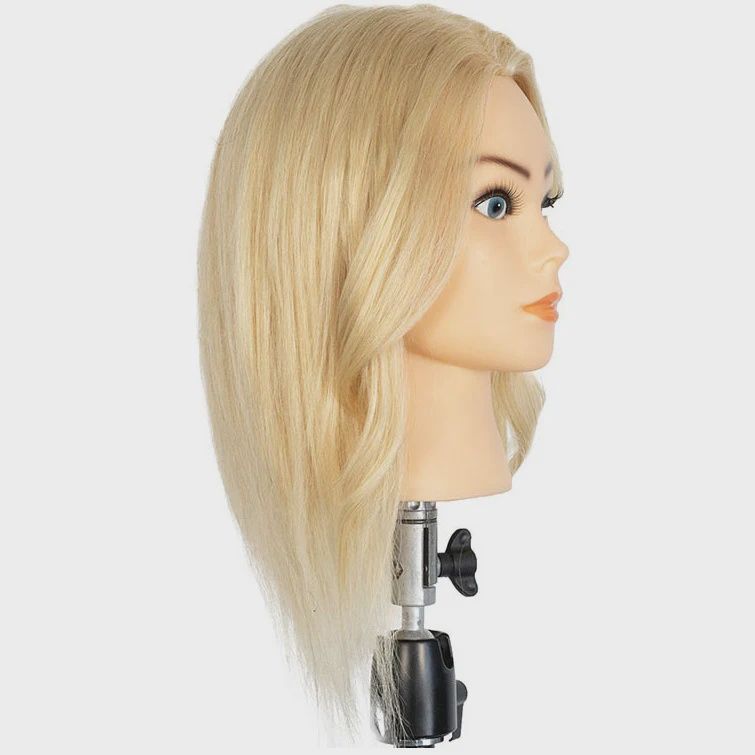 Training Head - STR 613
