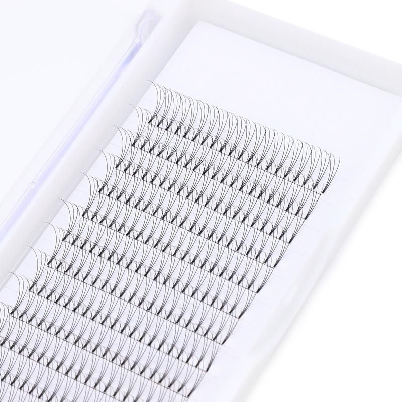 Lashes (Individual) - 6D