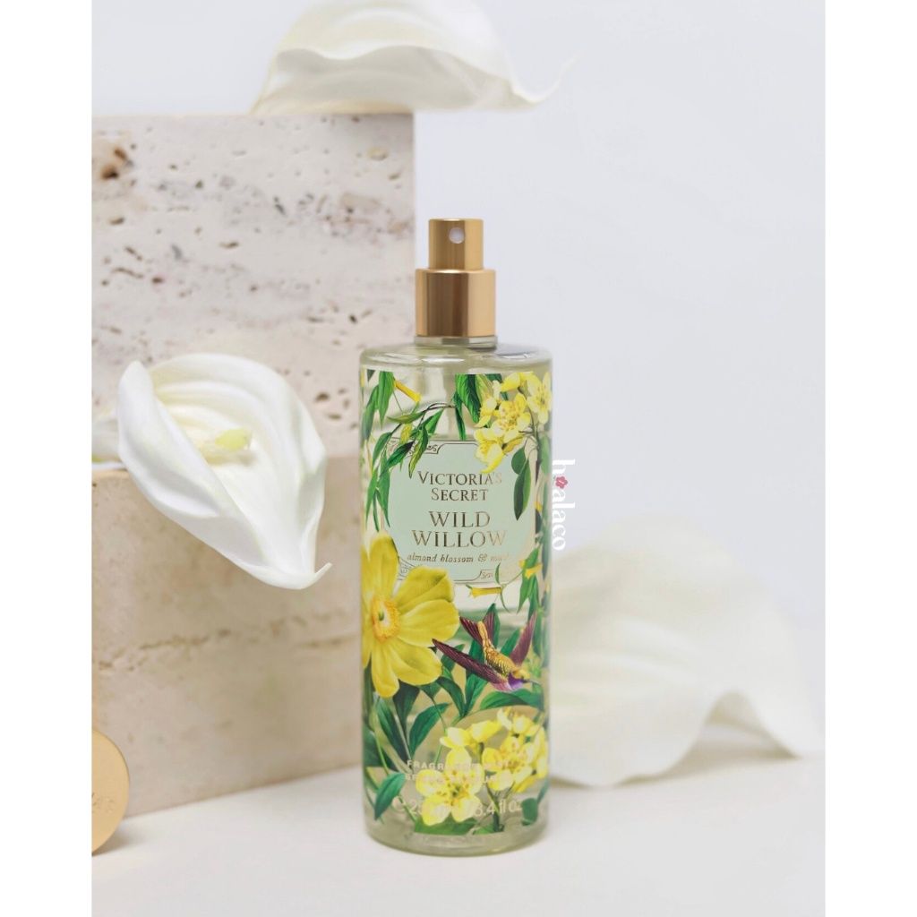 VS - Wild Willow